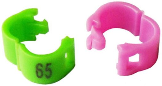 freen-p 2.7mm/3mm/4mm/4.5mm/5mm Numbered 1-100 Clip snap Plastic Bird Ring Leg Bands Parrot Finch Canary Grouped 100pcs