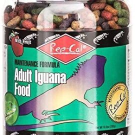 Rep-Cal Maintenance Formula Adult Iguana Food with Fruit