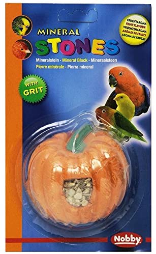 Nobby Pumpkin Shape Mineral Stone for Birds 140 g (Pack of 2