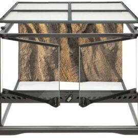 Exo Terra Short All Glass Terrarium, 18 by 18 by 12-Inch