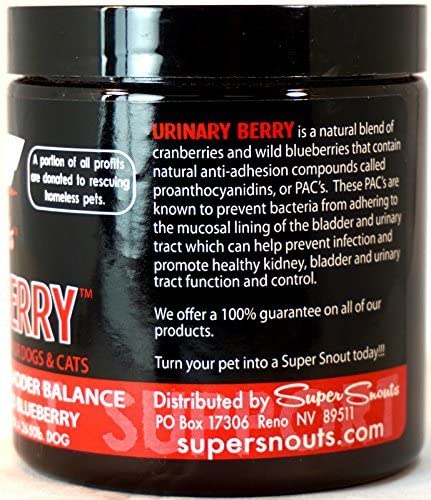 Super Snouts Combo Pack for Dogs & Cats - Urinary Berry Supplement (2.64 oz) and G.I. Balance Digestive Supplement (3.5 oz)