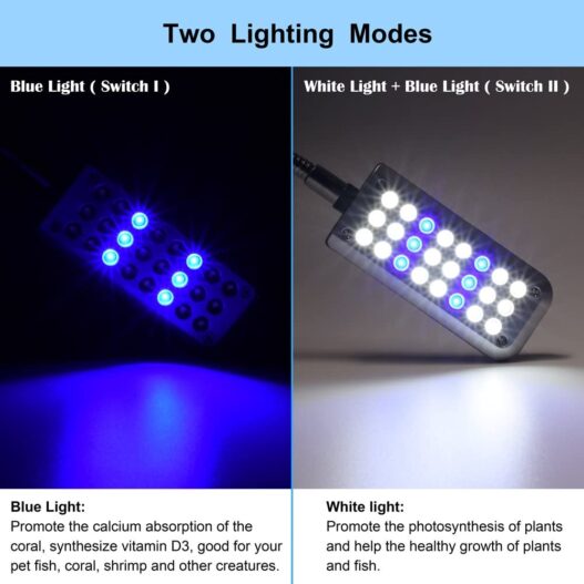 DaToo Aquarium Light Small LED Clip Light for Fish Tank, 1 Yr Warranty