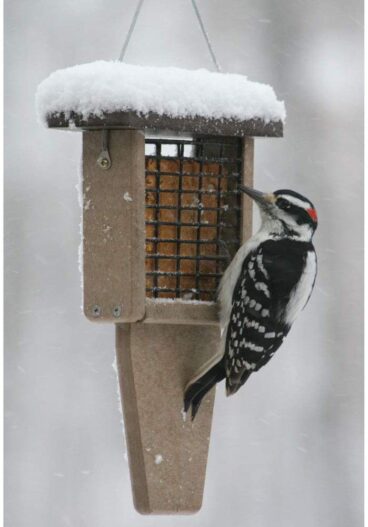 Birds Choice SNTPB Bird Single-Cake Tail-Prop Suet Feeder with Brown Top
