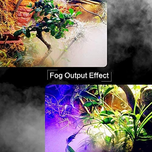 3L Reptile Humidifier - Top Fill Portable Ultrasonic Air Fogger for Reptiles,Snake, Turtle, Bearded Dragon,Gecko ,Lizard, Chameleon, Frog,Plants (3L)
