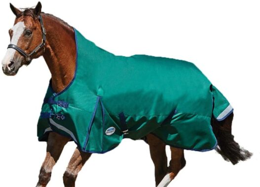 Weatherbeeta Comfitec Plus Dynamic High Neck Blanket Lite
