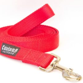 Caninus Collars Nylon Leash - 1" Width Leash (Single & Double ply leashes