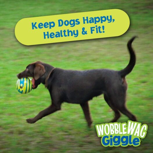Wobble Wag Giggle Ball, Interactive Dog Toy, Fun Giggle Sounds When Rolled or Shaken, Pets Know Best, As Seen On TV