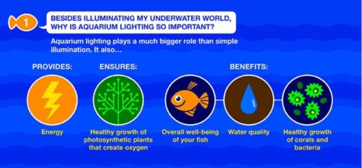 MarineLand LED Aquarium Natural Shimmering Light