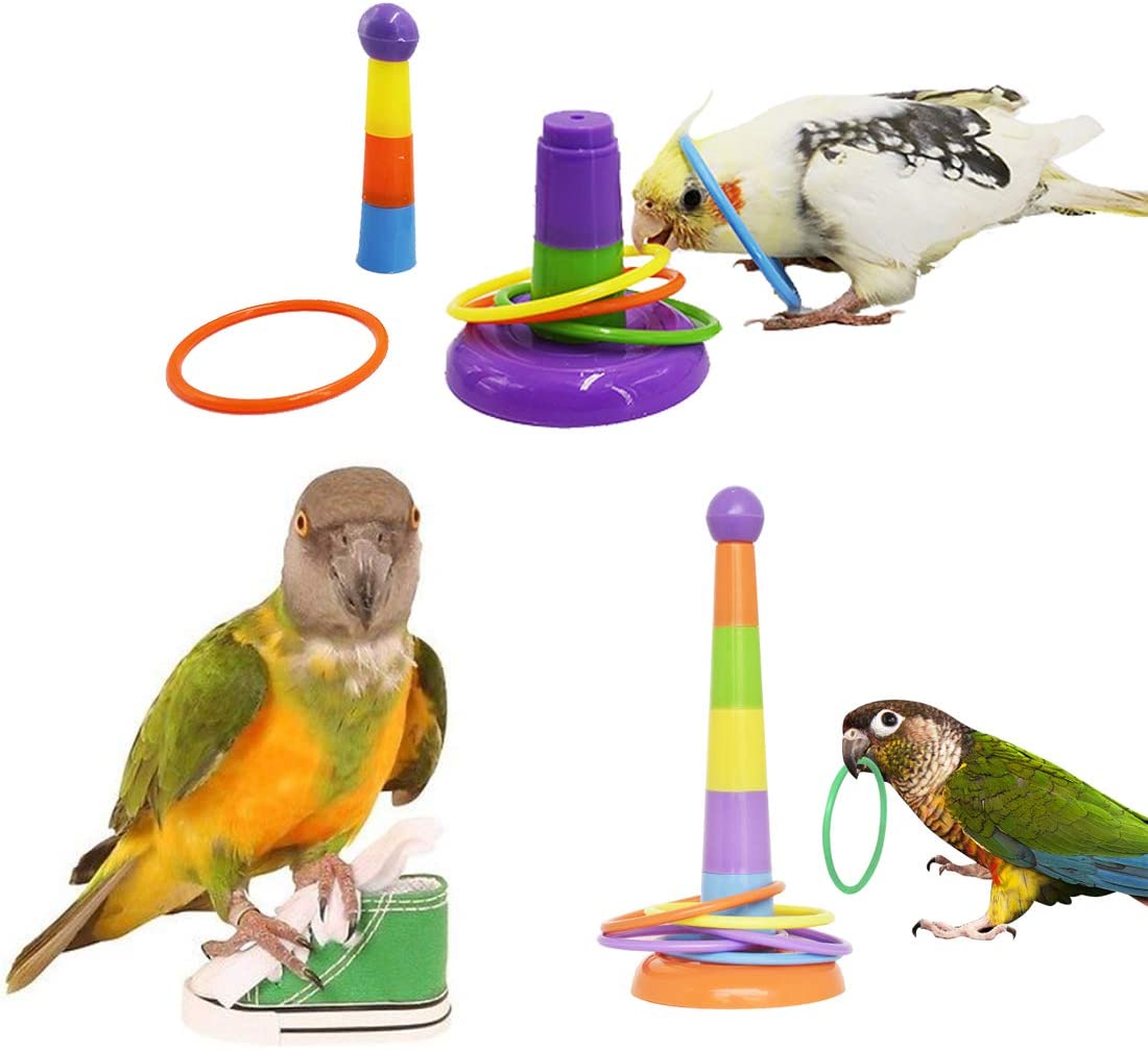 Type 1 B Blesiya Parrot Foraging Ball Bird Cage Feeder Ball Acrylic Intelligence Growth Training Feeder Toys for Parrot Budgie Parakeet Cockatiel