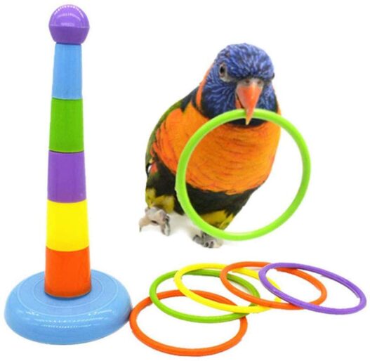 BWOGUE Bird Training Toys Mini Sneaker Skateboard Intelligence Training Rings Toy Parrot Foot Toys Bird Foraging Toys for Parakeet Cockatiel Conure Budgie African Grey Cockatoo Amazon