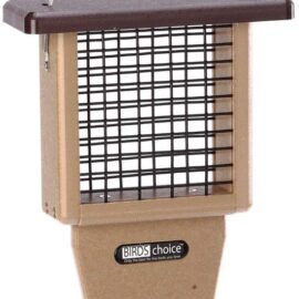 Birds Choice SNTPB Bird Single-Cake Tail-Prop Suet Feeder with Brown Top