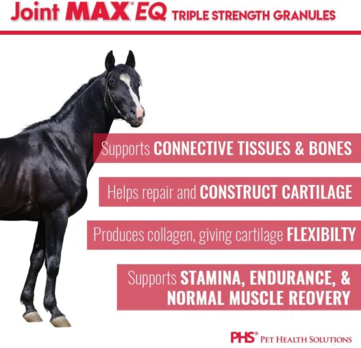Joint MAX Triple Strength EQ GRANULES for Horses - Support Joint Health - Vitamins, Minerals, Omega 3 Fatty Acids, Antioxidants - 180 Doses