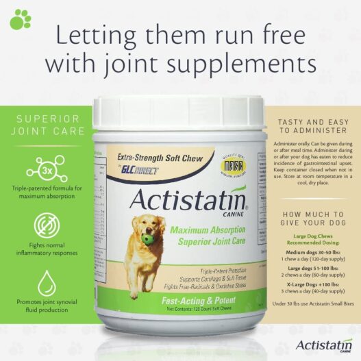 Actistatin Canine - Patented Extra-Strength Joint, Cartilage, Soft Tissue Supplement: Glucosamine, Chondroitin, Manganese, MSM, L-Carnitine - High Absorption, Fast Results