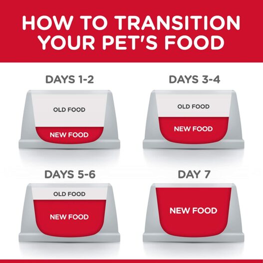 Hill's Science Diet Wet Dog Food, Adult, Sensitive Stomach & Skin 12-Pack