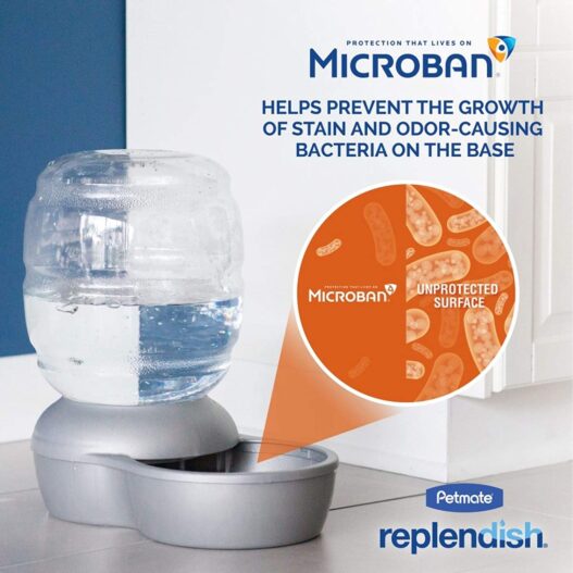 Petmate Replendish Gravity Waterer w/ Microban