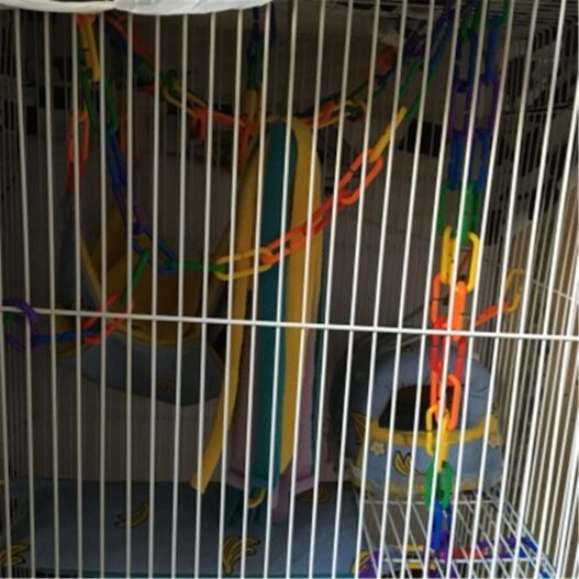 YUYUSO 100 Piece Plastic C-Clips Hooks Chain Links C-Links Rat Parrot Bird Toy Cage