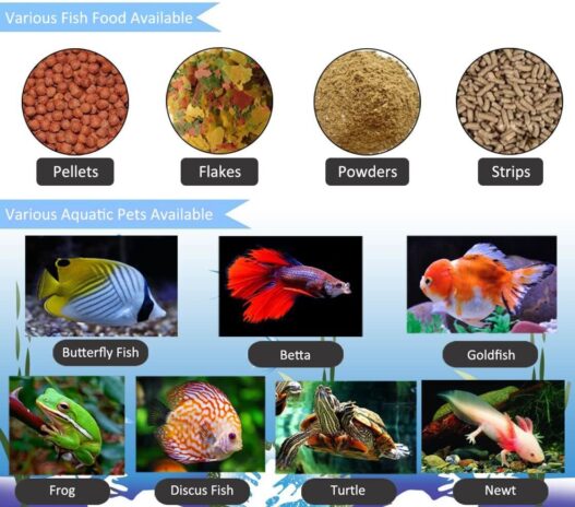 PROCHE Automatic Fish Feeder Intelligent Fish/Turtle/Goldfish Feeder for Aquarium & Fish Tank | 4 Times | Intelligent Timer Fish Food Dispenser for Trips, Weekend & Vacation