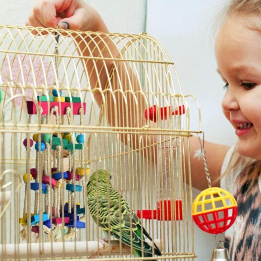 KATUMO Bird Chewing Toy with Bird Perch Nature Wood Stand, Parrot Cage Bite Toys Multicolored Wooden Blocks Bird Parrot Toys for Small and Medium Parrots and Birds