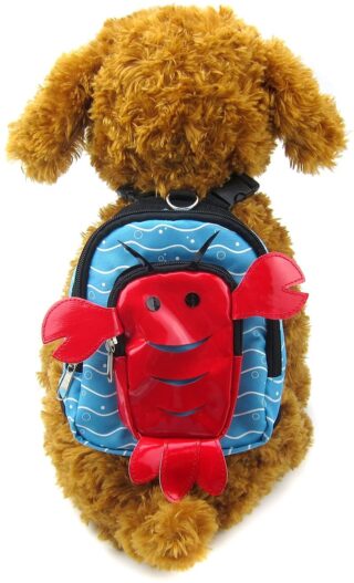 Alfie Pet - Oliga Backpack Harness with Leash Set