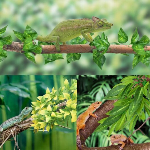 KATUMO Reptile Plants, Amphibian Hanging Plants with Suction Cup for Lizards, Geckos, Bearded Dragons, Snake, Hermit Crab Tank Pets Habitat Decorations
