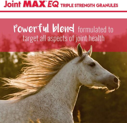Joint MAX Triple Strength EQ GRANULES for Horses - Support Joint Health - Vitamins, Minerals, Omega 3 Fatty Acids, Antioxidants - 180 Doses
