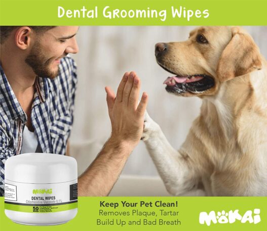 MOKAI Dental Wipes for Dogs and Cats | Pads with Chlorhexidine and Sodium Hexametaphosphate Remove Plaque Tartar Buildup Calculus and Bad Breath, Preventing Tooth Decay and Gingivitis