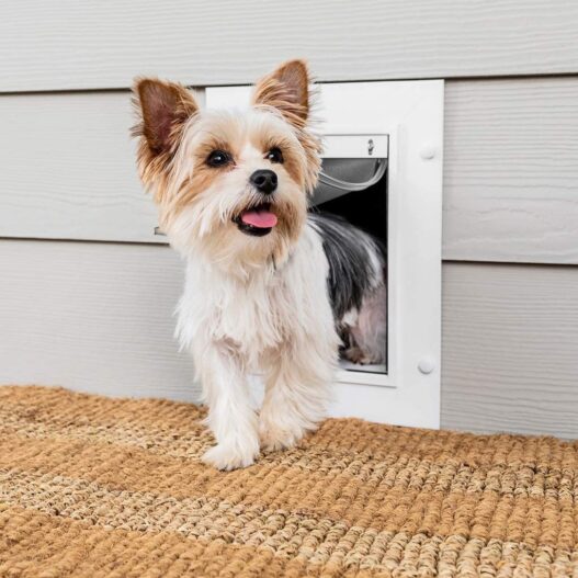 PetSafe Wall Entry Pet Doors with Telescoping Tunnel - Small, Medium, Large - White - Easy to Install - Cat and Dog Door Designed for Freedom, Independence and Convenience - Made in the USA