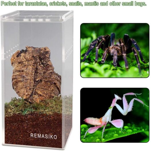 REMASIKO Magnetic Acrylic Reptile Cage 3"x3"x6" Nano Tall Enclosure Transparent Reptile Breeding Box Terrarium Tank Tarantula Scorpion Sling Isopods Invertebrates Insect Mantis