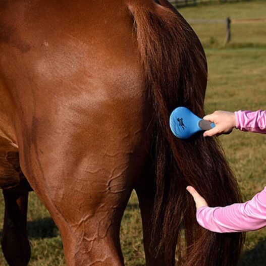Happy Horse Mane & Tail Brush for Horses and Dogs