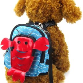 Alfie Pet - Oliga Backpack Harness with Leash Set