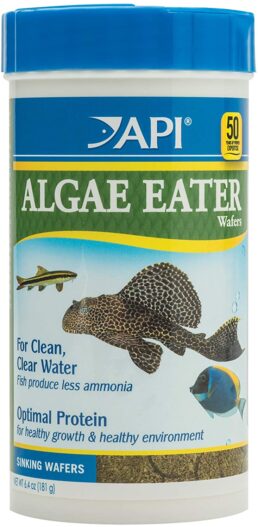 API Algae Eater Fish Food