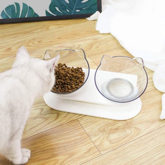 Pet Food & Water Bowls with Stand Base,Anti-Skid Cat Feeder Transparent Bowl Pet Food Dish