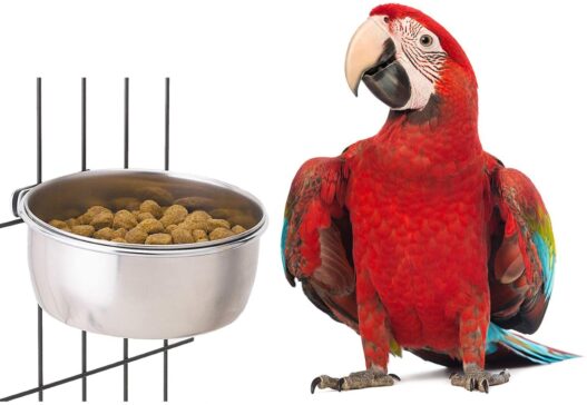 BWOGUE Bird Parrot Feeding Cups with Clamp Stainless Steel Food Water Bowls Dish Feeder for Cockatiel Conure Budgies Parakeet Parrot Macaw Small Animal Chinchilla