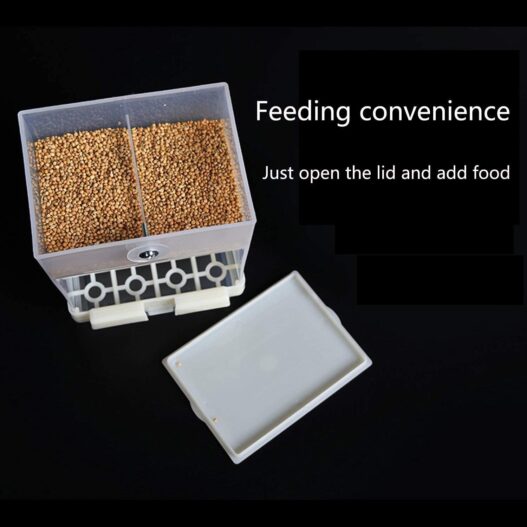 RYPET No-Mess Bird Feeder - Parrot Integrated Automatic Feeder for Small to Medium Birds