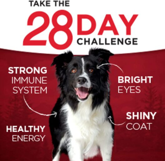Purina ONE SmartBlend True Instinct Adult Canned Wet Dog Food