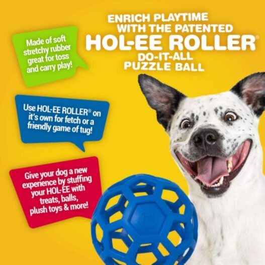 JW Hol-ee Roller Original Do It All Puzzle Ball - Hard Natural Rubber - Assorted Colors