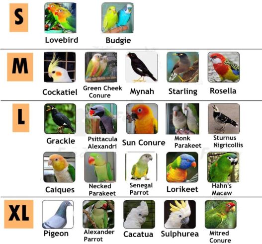 Pet Small Animals Clothes Birds Flight Suit for Parrots African Greys Parakeet Cockatiel Sun Conure, Cute School Uniform Tuxedo Business Suit for Christmas Party Birthday Pet Shows Cosplay Photo Prop