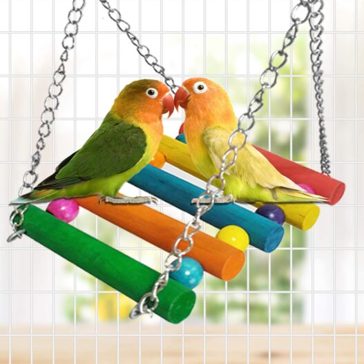 E-KOMG 13 Packs Bird Swing Toys,Parrot Chewing Hanging Perches with Bell,Pet Birds Cage Toys Suitable for Small Parakeets,Love Birds,Cockatiels,Macaws,Finches