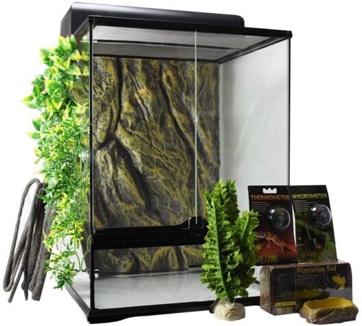 Exo Terra Rainforest Habitat Kit (includes PT2607) - Medium