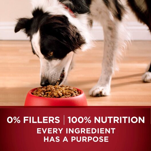 Purina ONE SmartBlend True Instinct Natural Adult Dry Dog Food & Dog Treats