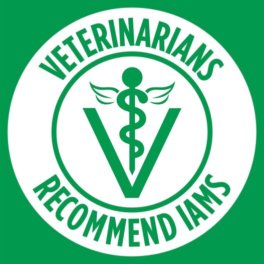IAMS PROACTIVE HEALTH Minichunks Dry Dog Food, Chicken