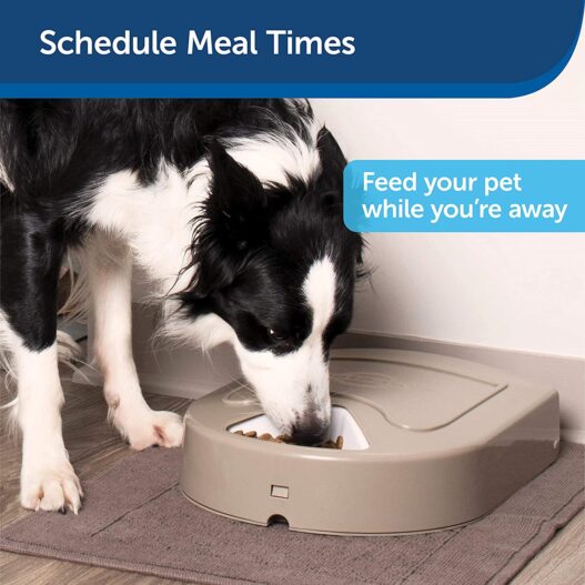 PetSafe 5 Meal Automatic Pet Feeder, Dog and Cat Dry Food Dispenser, with Digital Clock and Portion Control, 1 Cup Compartment Portions, 5 Cups Total Capacity