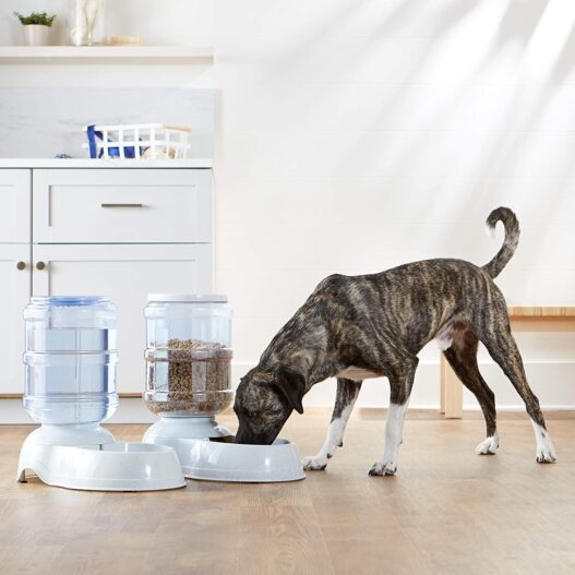 AmazonBasics Gravity Pet Food Feeder and Water Dispensers