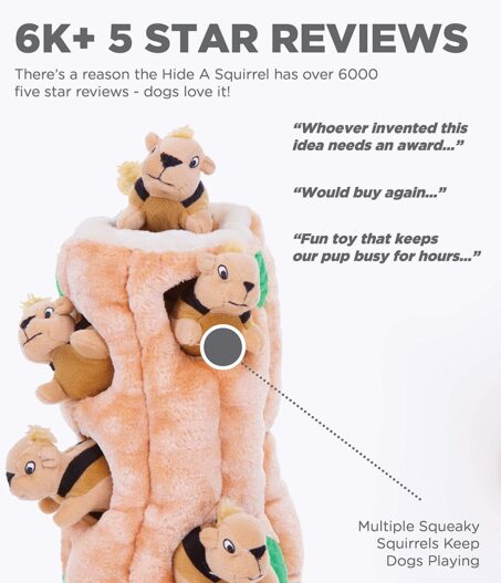 Outward Hound Hide-A-Squirrel Squeaky Puzzle Plush Dog Toy - Hide and Seek Activity for Dogs