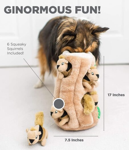 Outward Hound Hide-A-Squirrel Squeaky Puzzle Plush Dog Toy - Hide and Seek Activity for Dogs
