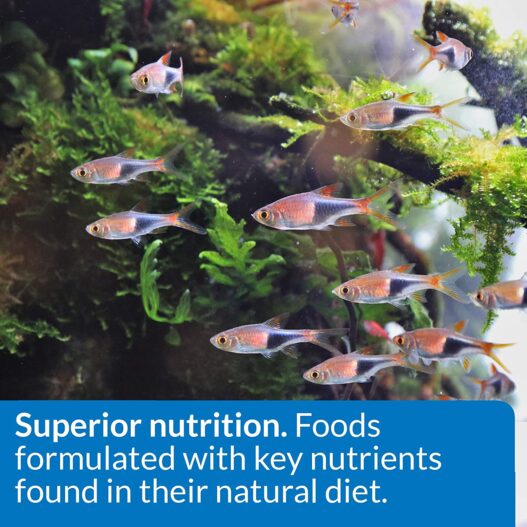 API FISH FOOD FLAKES, Formulated to help fish more readily use nutrients which means less waste and clean, clear water, Feed up to twice a day as much as they'll eat in 5 minutes