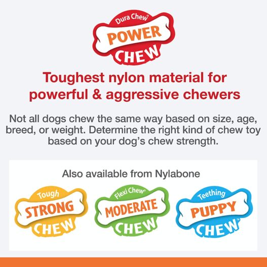 Nylabone Power Chew Textured Dog Chew Ring Toy