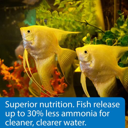 API FISH FOOD FLAKES, Formulated to help fish more readily use nutrients which means less waste and clean, clear water, Feed up to twice a day as much as they'll eat in 5 minutes