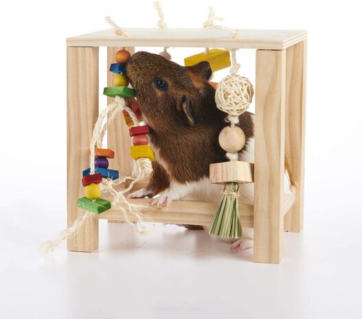 Oxbow Enriched Life Play Table