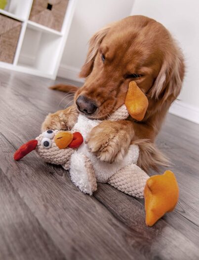 goDog Checkers Fat Rooster with Chew Guard Technology Tough Plush Dog Toy, White, Large (770882)